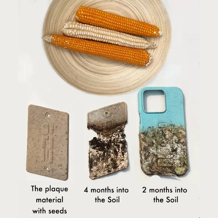 Biodegradable iPhone Cover by iGreen